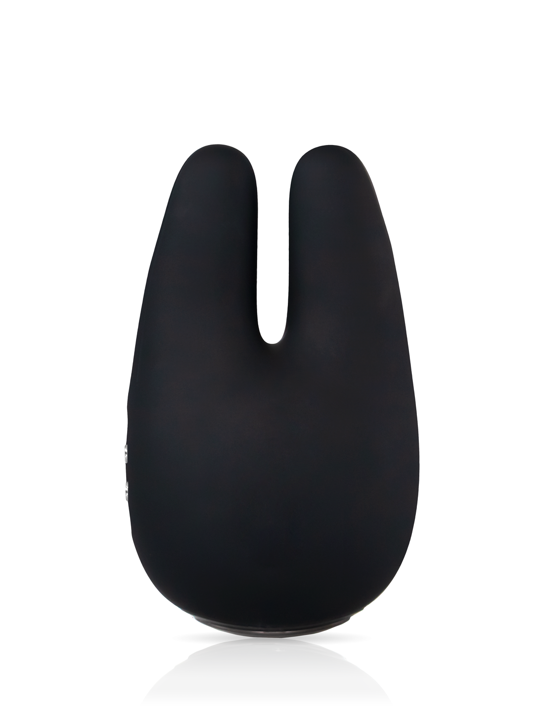 Form 2 Pro