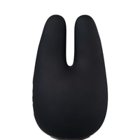 Form 2 Pro