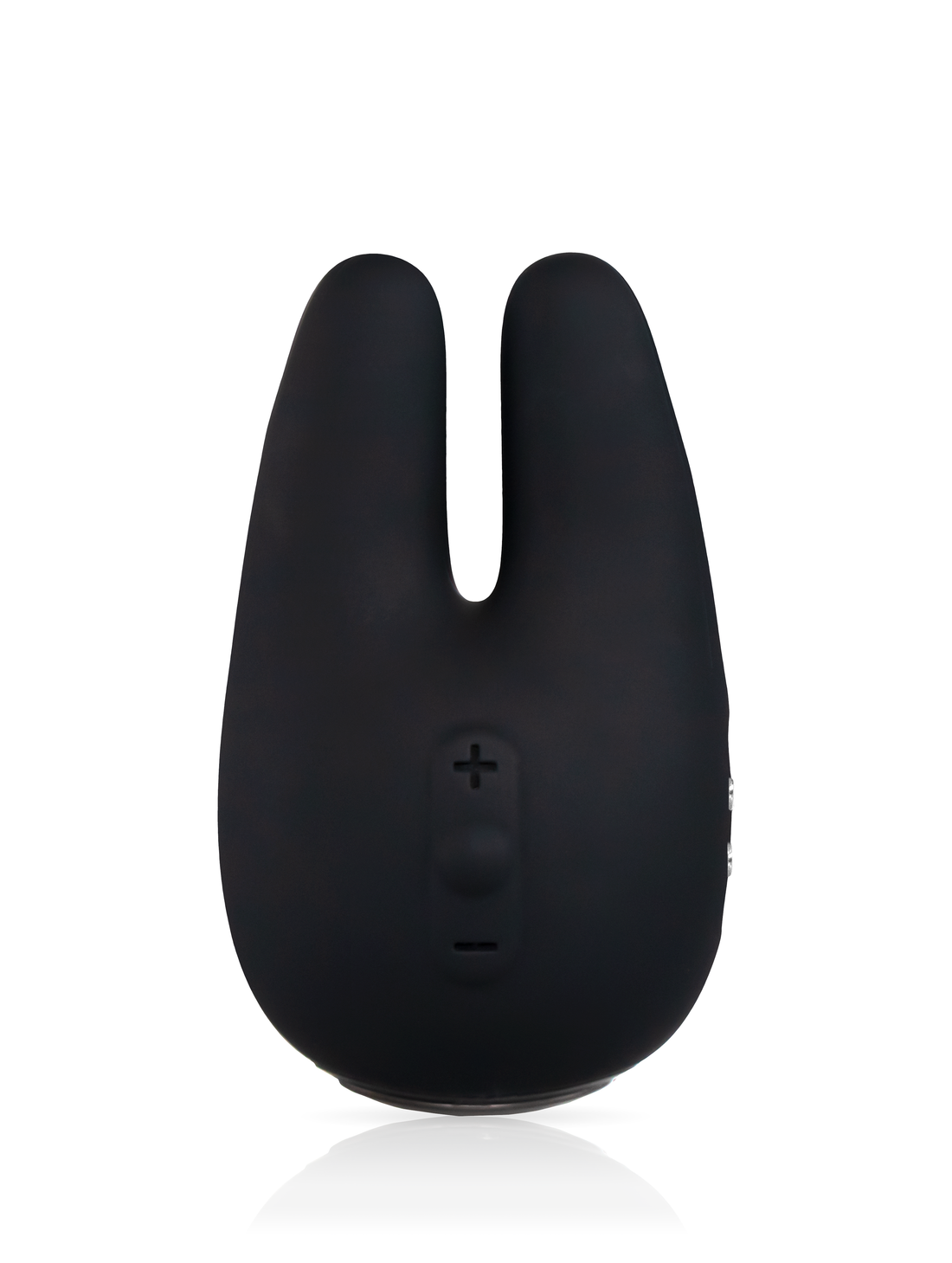 Form 2 Pro