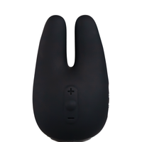 Form 2 Pro