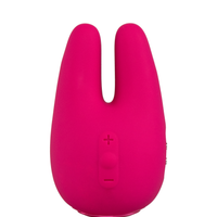 Form 2 Pro
