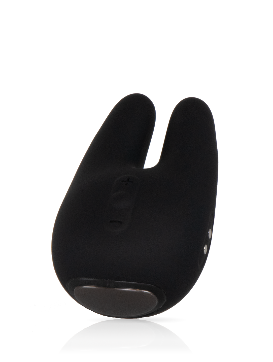 Form 2 Pro