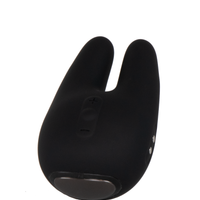 Form 2 Pro